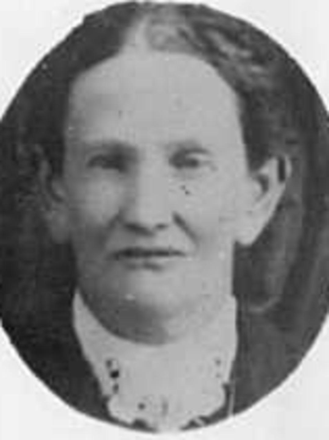 Fanny Webb (1856 - 1924) Profile
